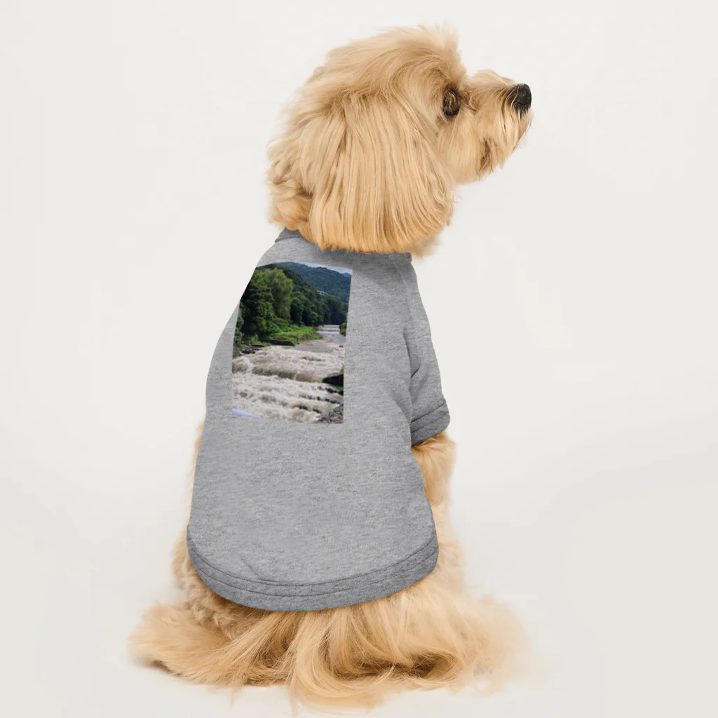 TACOIKAのHakone　RainyDay Dog T-shirt