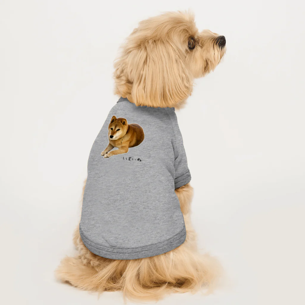 柴犬しばわんこhana873の伏せ？してる柴犬さん Dog T-shirt