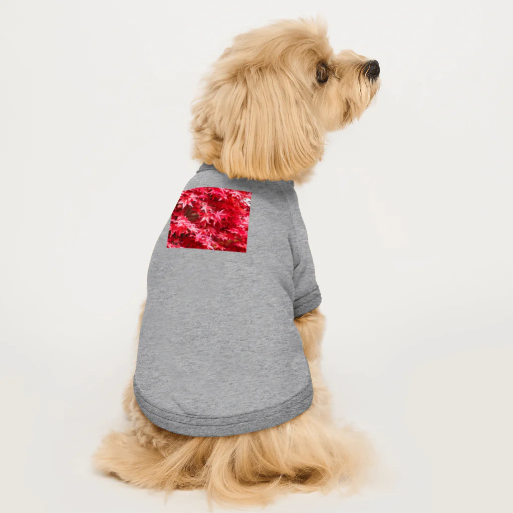 morinoyouseiの鮮やかなもみじ Dog T-shirt