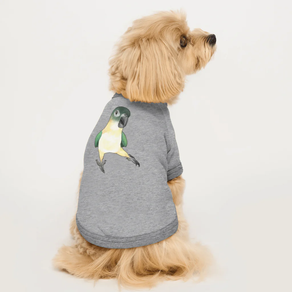 まめるりはことりのご機嫌なズグロシロハラインコのカイ君【まめるりはことり】 ドッグTシャツ