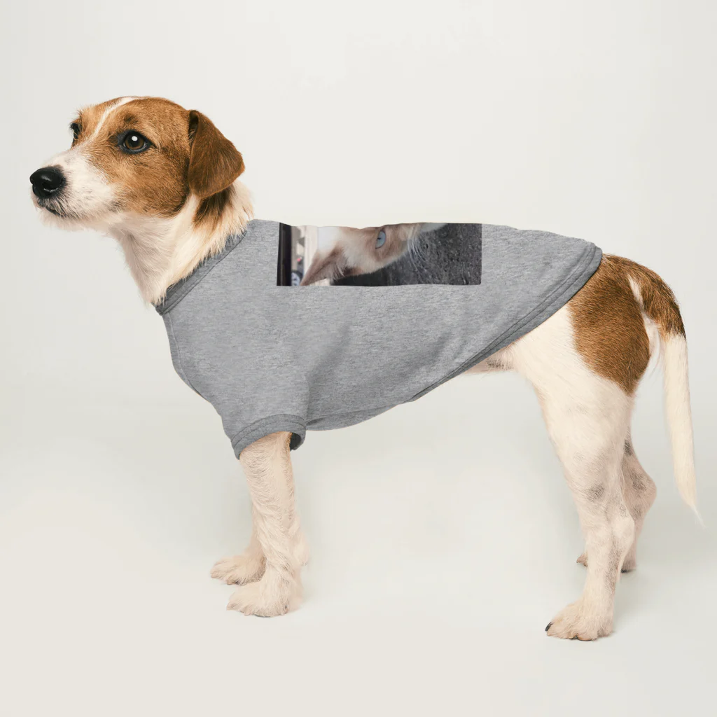 Makoto_Kawano Designの悪そうなのにカワイイ猫ちゃん Dog T-shirt