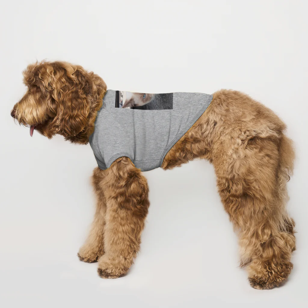 Makoto_Kawano Designの悪そうなのにカワイイ猫ちゃん Dog T-shirt