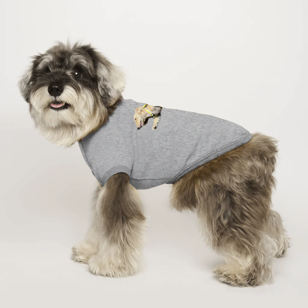 ふっくらぶんたとひよっこティプ のスーパードッグ Dog T-shirt