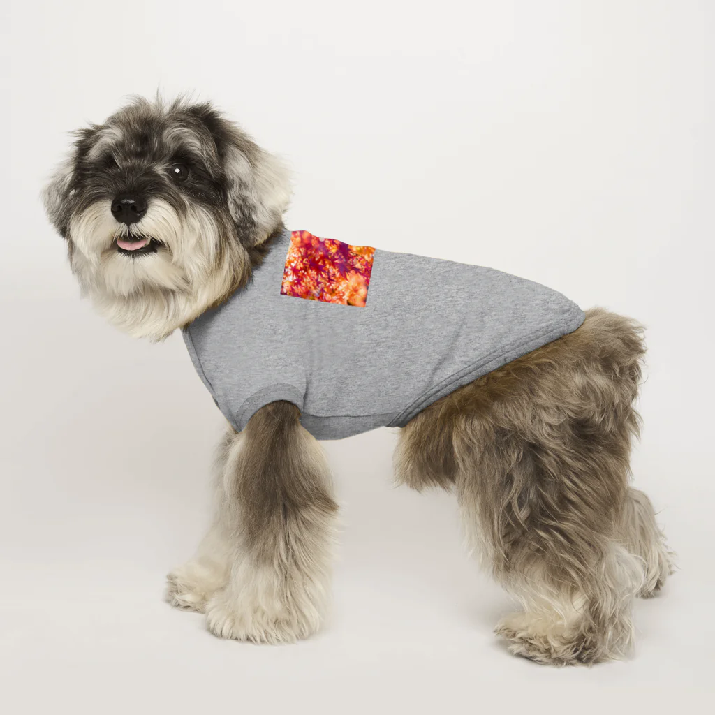 最終進化的量産型良のオレンジノコウヨウ Dog T-shirt