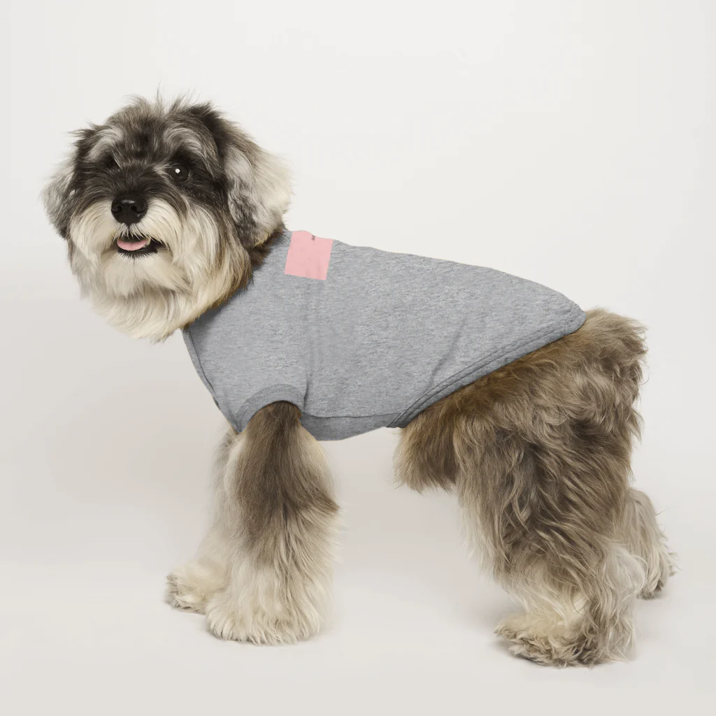 テストの犬用シャツ Dog T-shirt