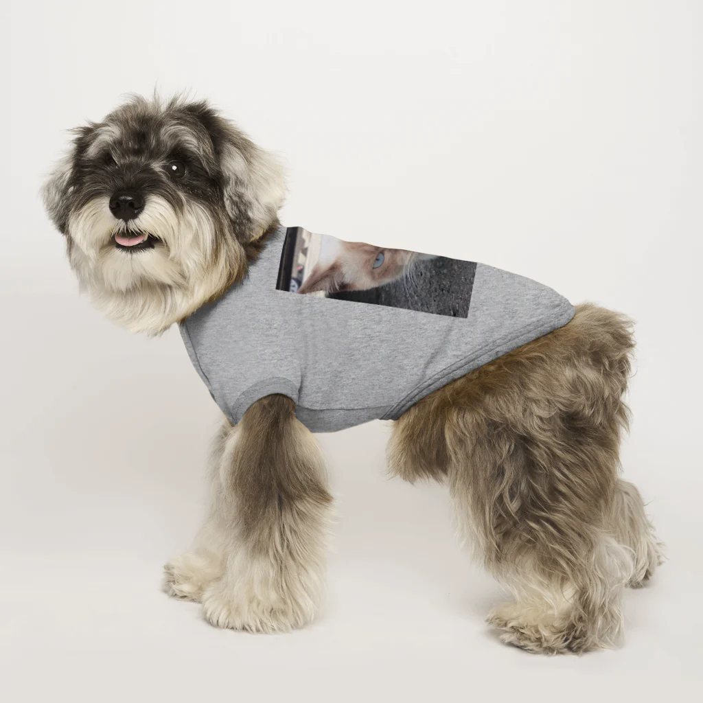 Makoto_Kawano Designの悪そうなのにカワイイ猫ちゃん Dog T-shirt