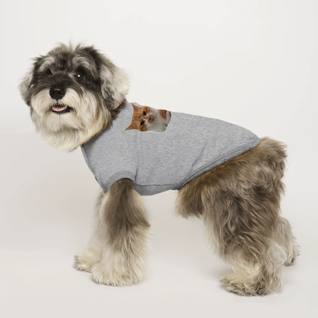 dszsdfdのこうばこねこねこ Dog T-shirt