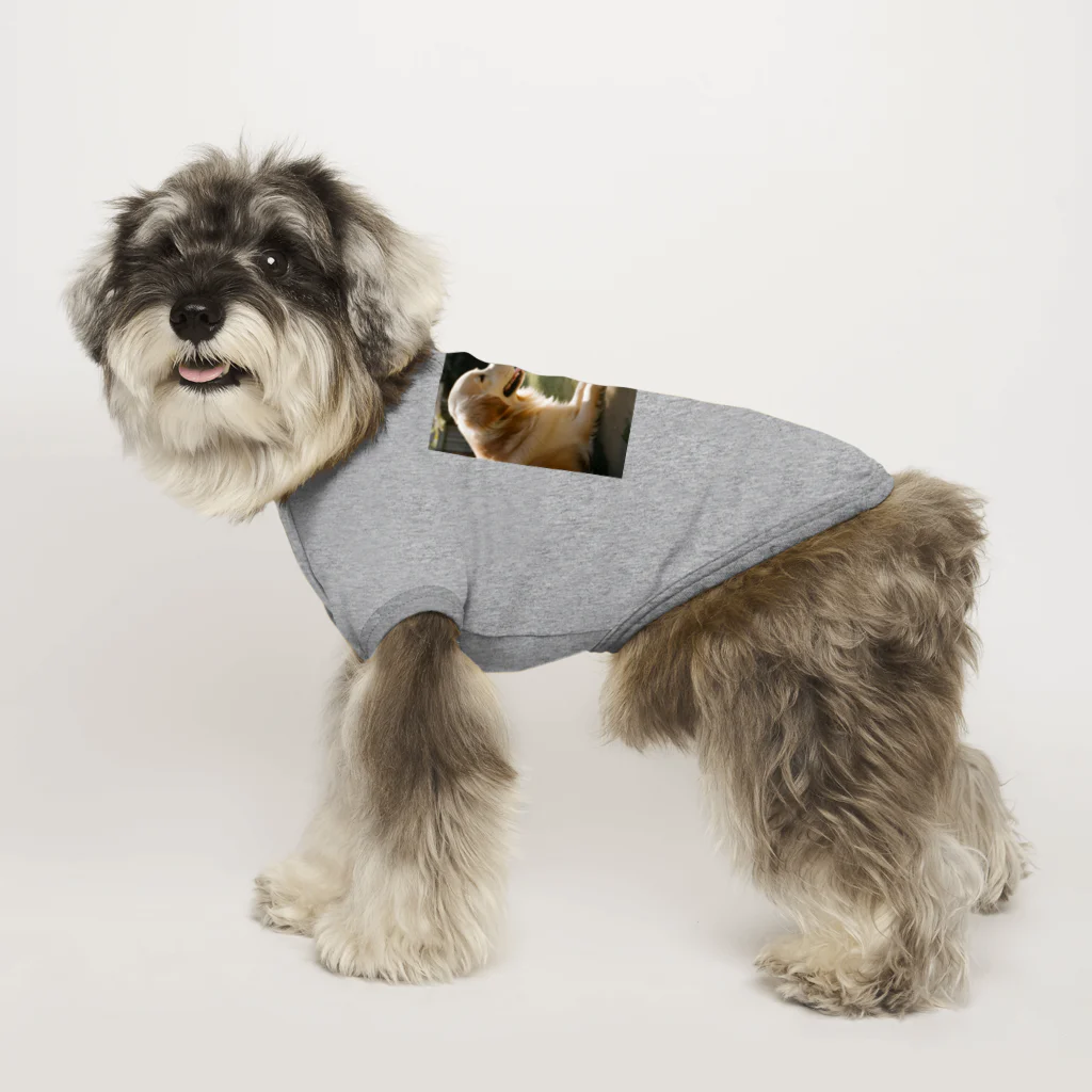 itokiwaレトリーバーのitokiwaレトリーバー Dog T-shirt