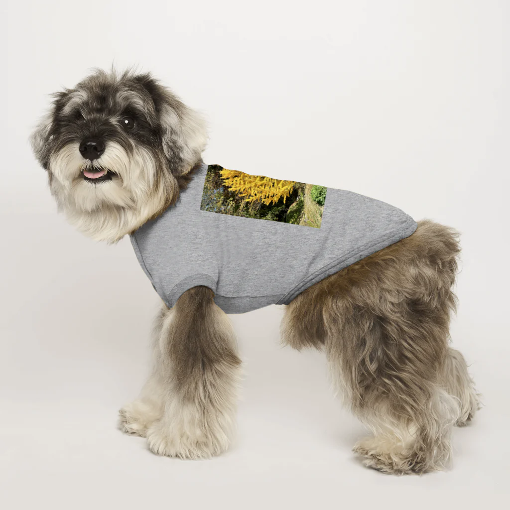 enjoy life shopの安曇野のイチョウの写真グッズ Dog T-shirt