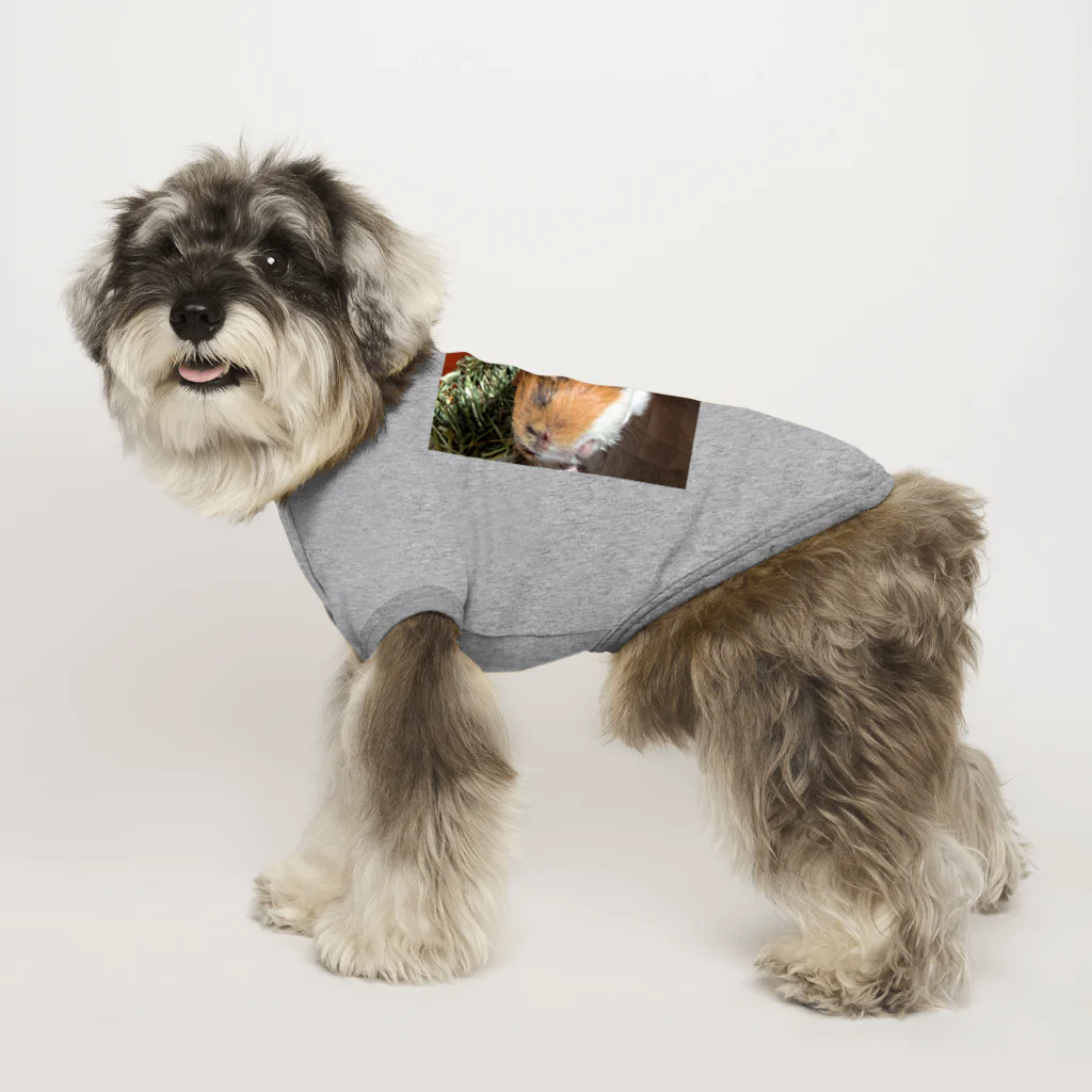 pega kurubonのモルモットのもっちー Dog T-shirt