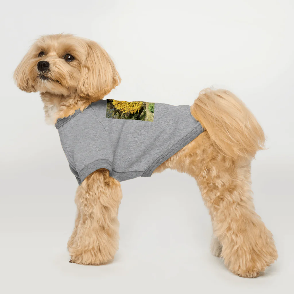 enjoy life shopの安曇野のイチョウの写真グッズ Dog T-shirt