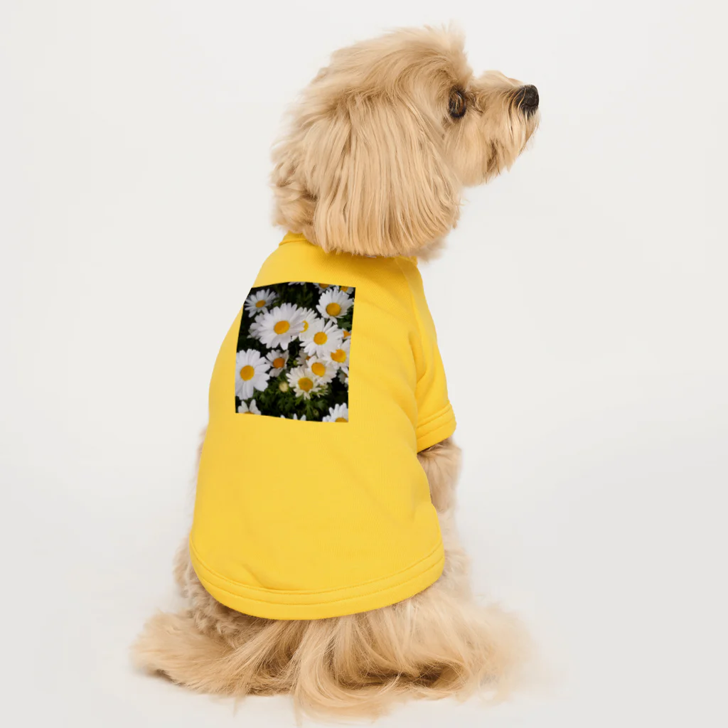 ハルノコのノースポール Dog T-shirt