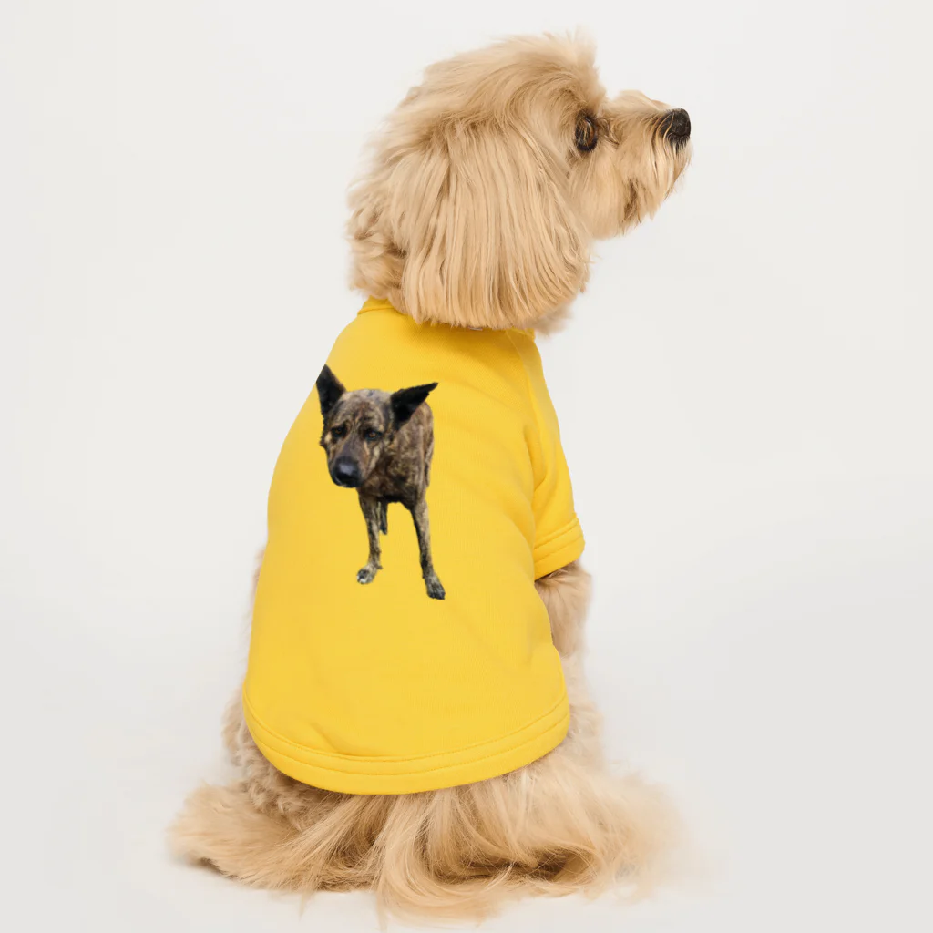 EYE CANDYの愛犬注意 Dog T-shirt