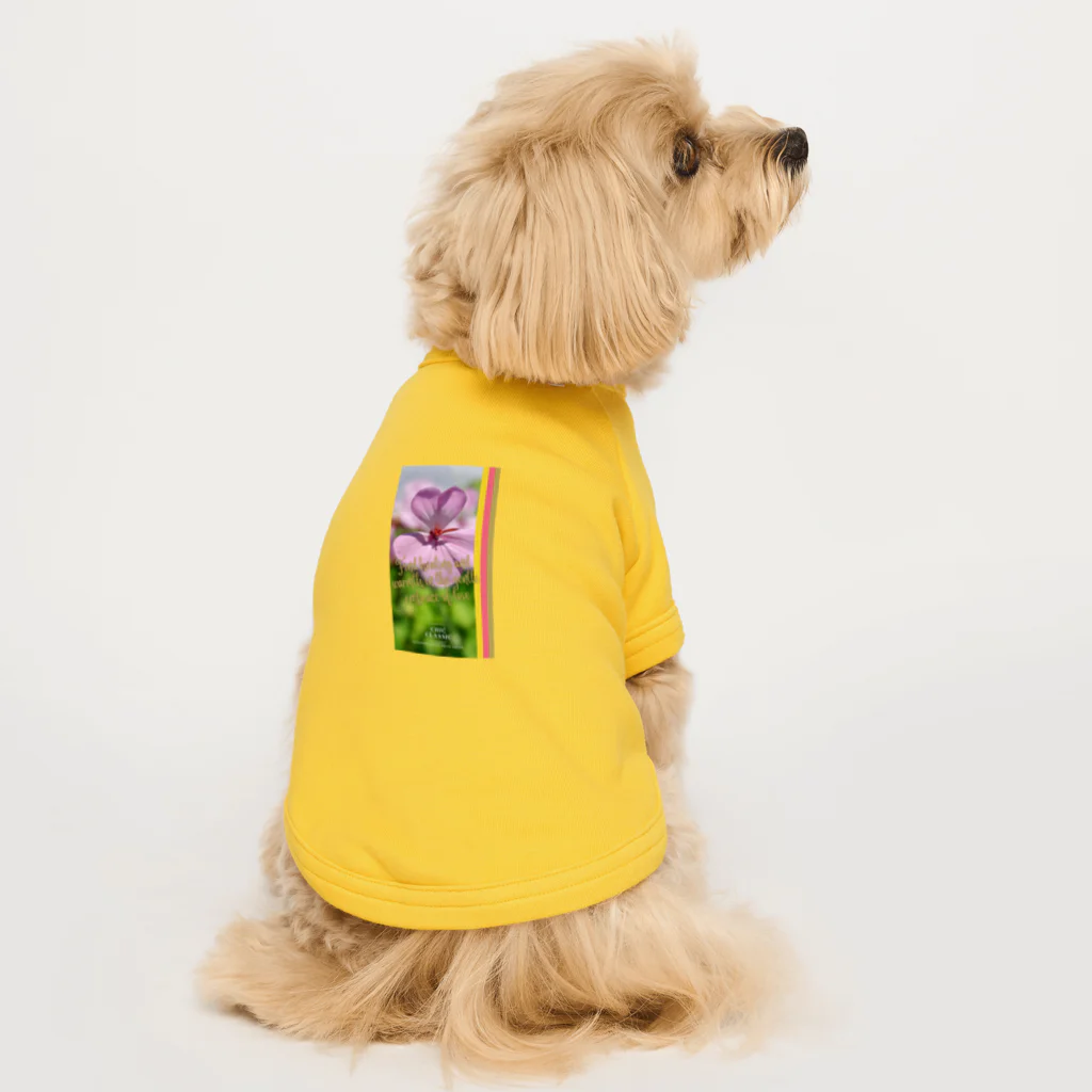 ChicClassic（しっくくらしっく）のお花・Find healing and warmth in the gentle embrace of love. Dog T-shirt