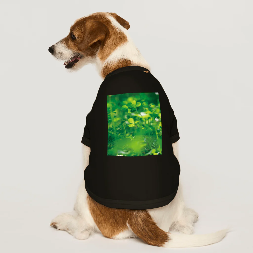 akane_art（茜音工房）の癒しの風景（クローバー） Dog T-shirt