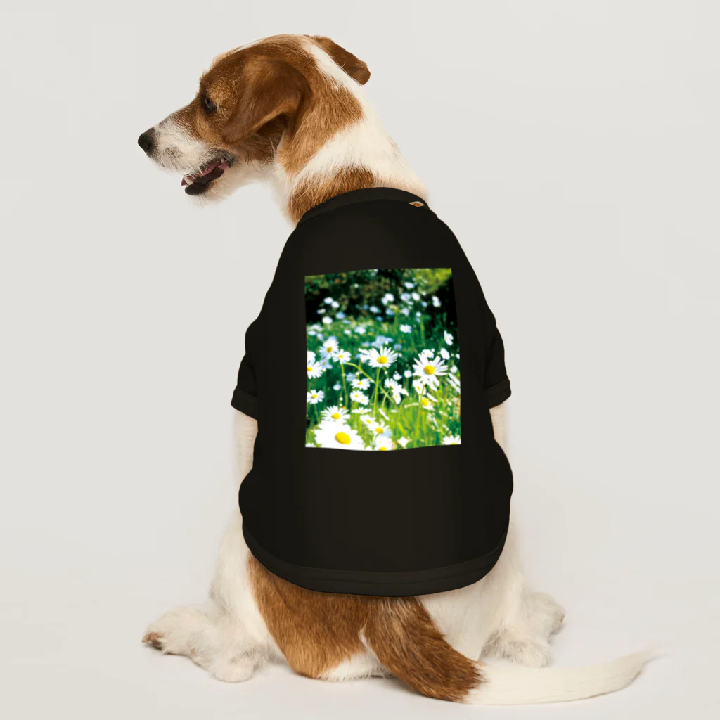 akane_art（茜音工房）の癒しの風景（シャスタデイジー） Dog T-shirt