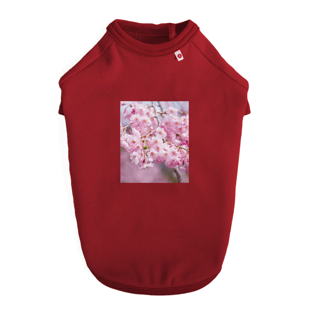 akane_art（茜音工房）の癒しの風景（八重桜） Dog T-shirt