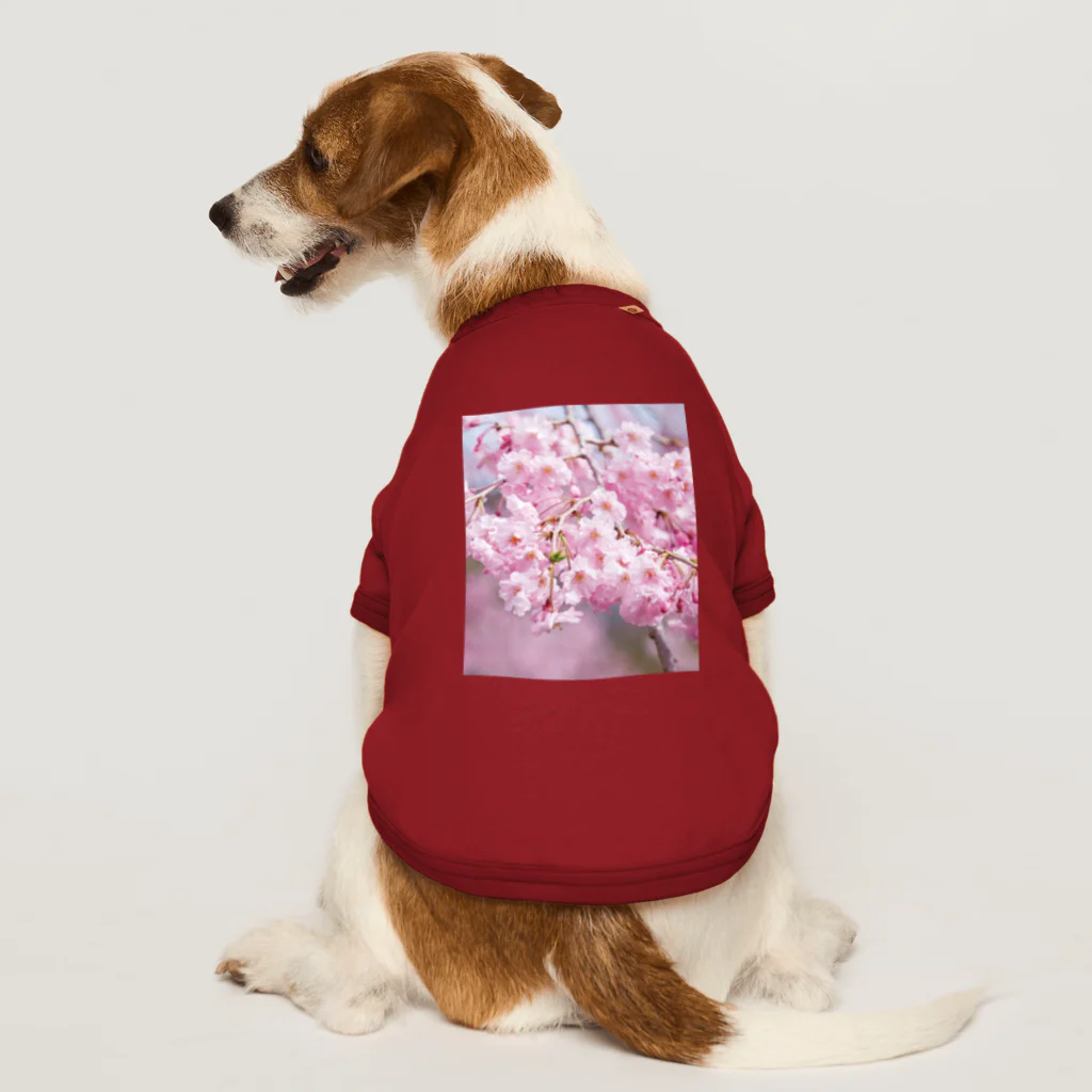 akane_art（茜音工房）の癒しの風景（八重桜） ドッグTシャツ