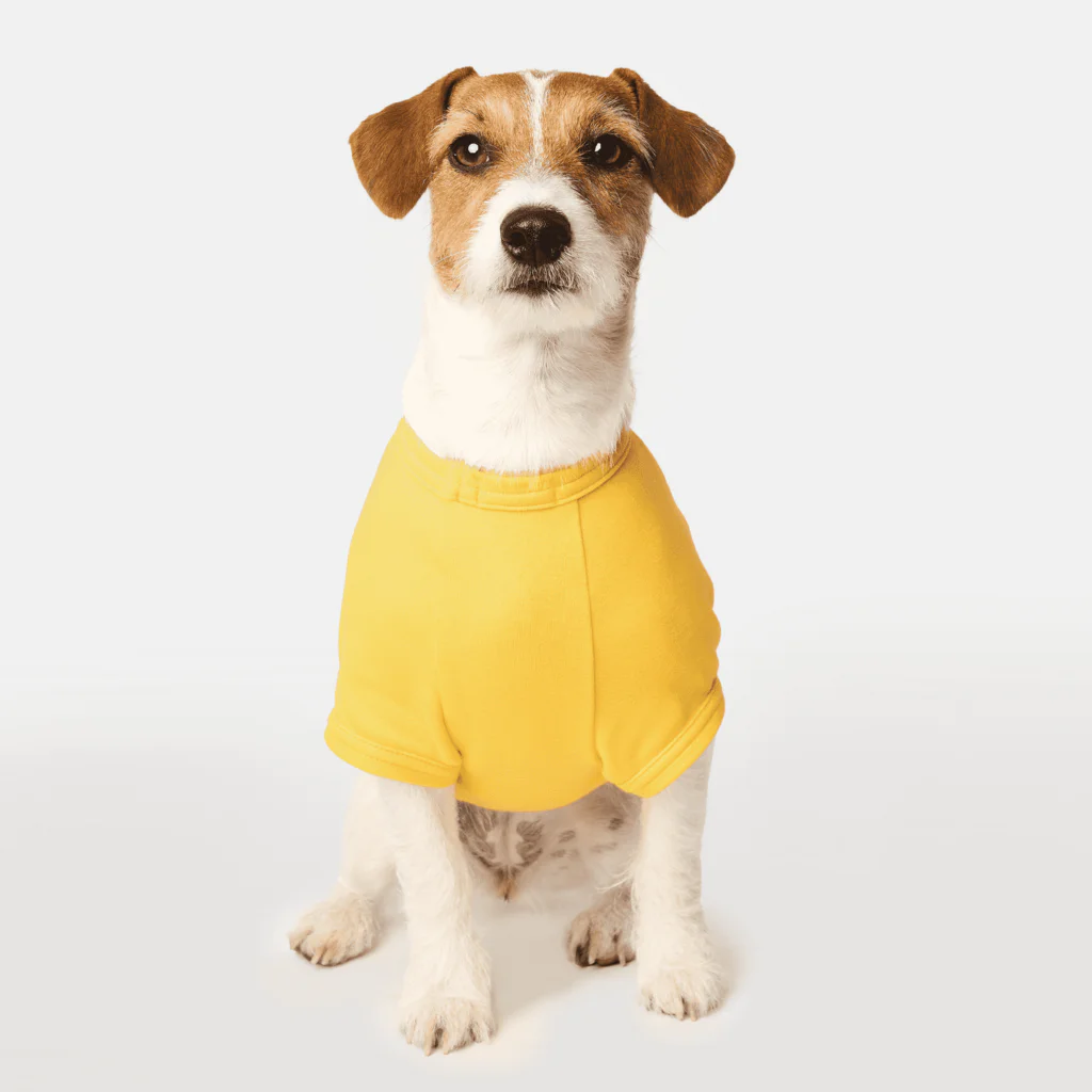 merciro maltese dogのマルチーズ子犬の上目遣い ドッグTシャツ