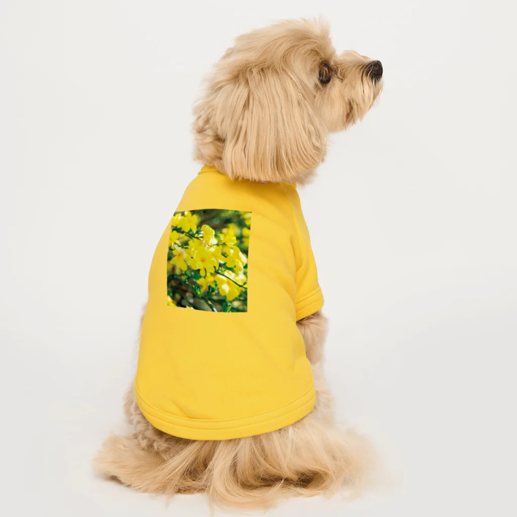 akane_art（茜音工房）の癒しの風景（オウバイ） Dog T-shirt