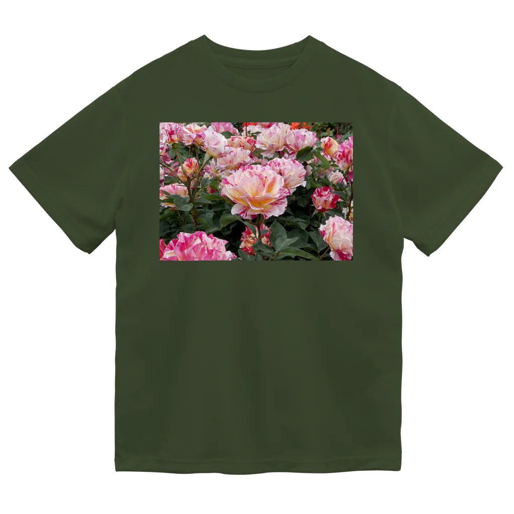 紫ノエルのピンクの薔薇② ドライTシャツ