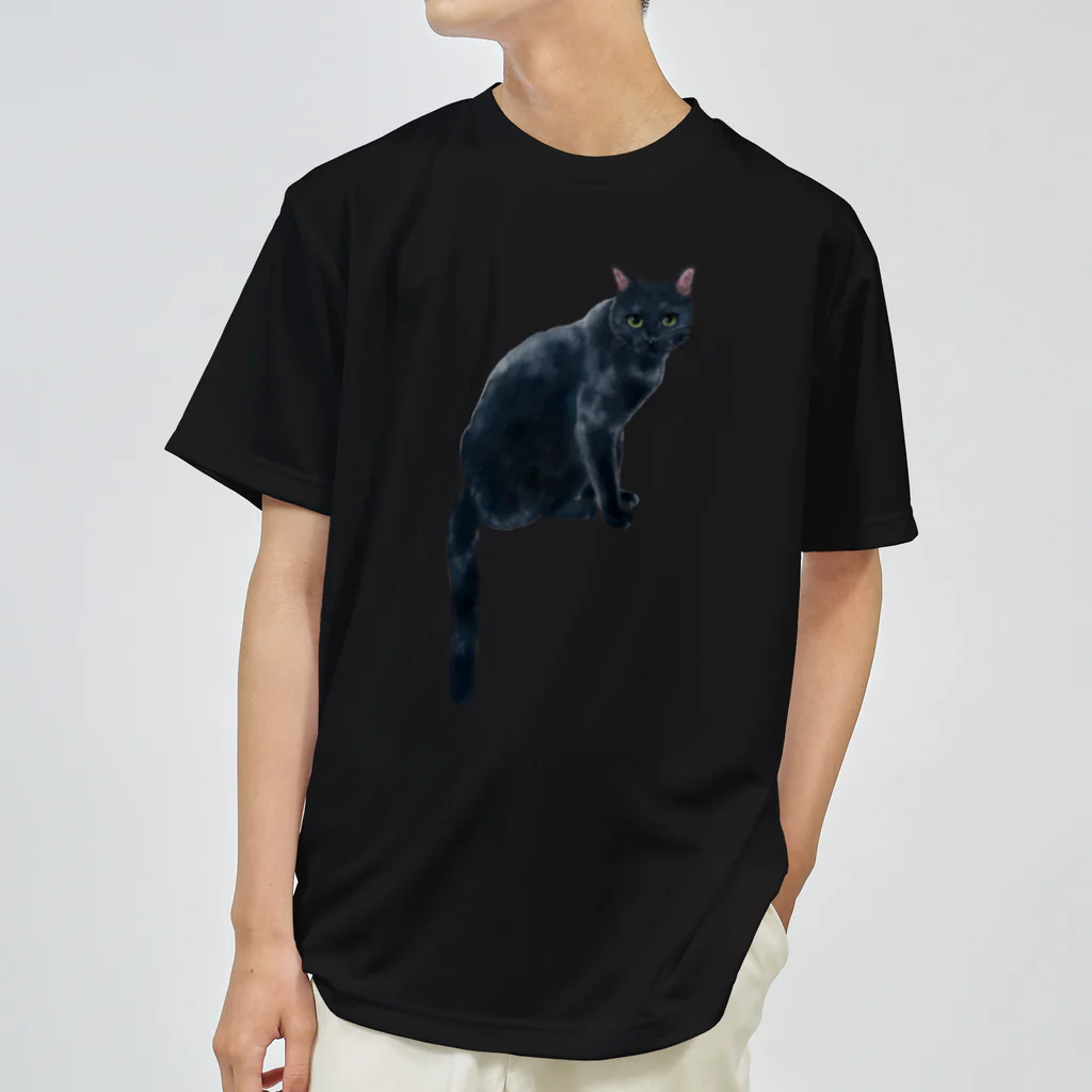 猫とやっし～ぃのアレコレのシッポだらんと黒猫ちゃん ドライTシャツ