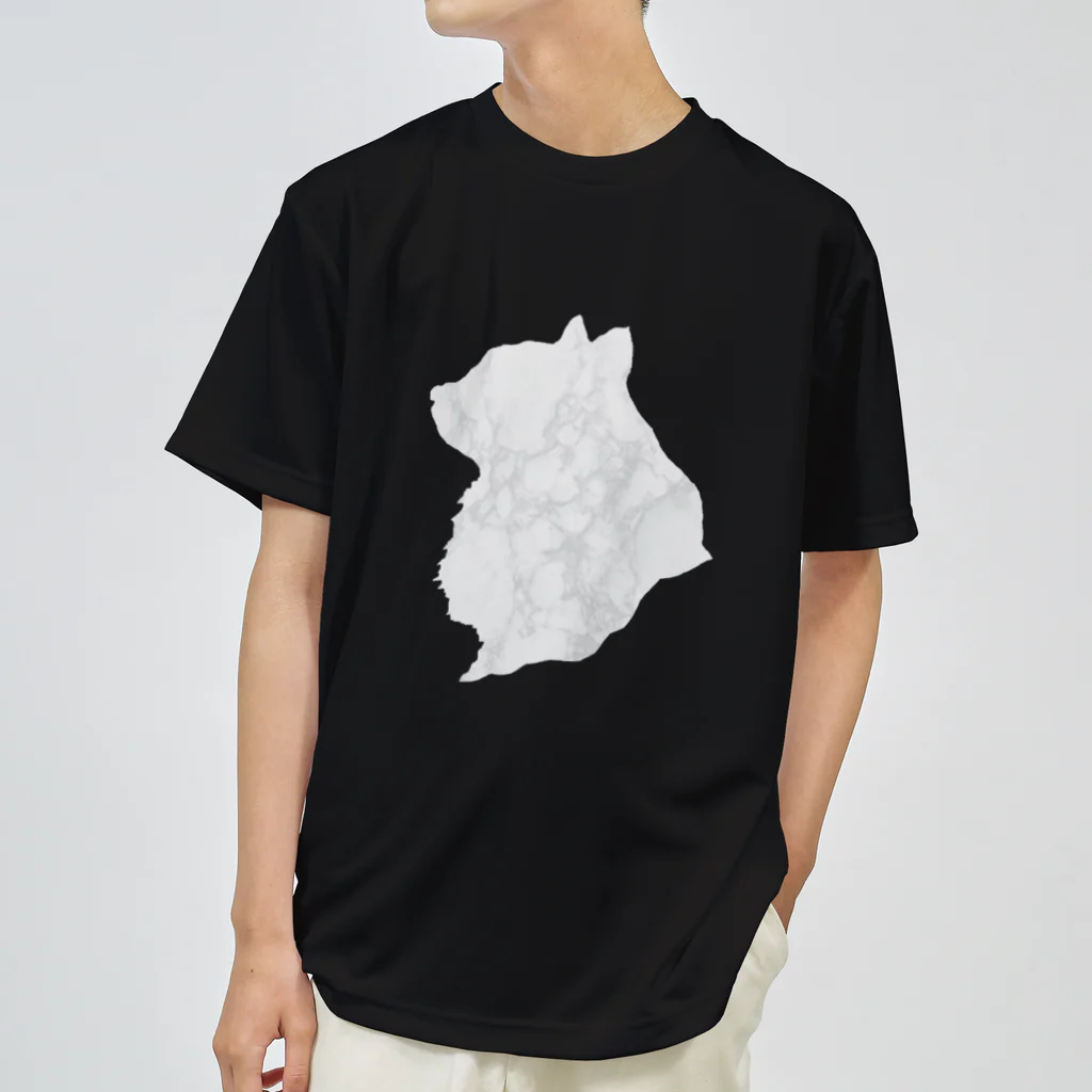 Innocent_Designのマーブル猫 Dry T-Shirt