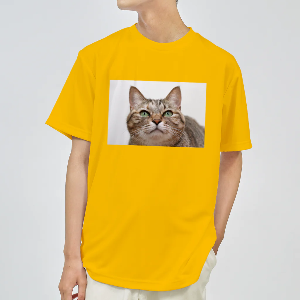 モコネコSHOPのトラねこ Dry T-Shirt