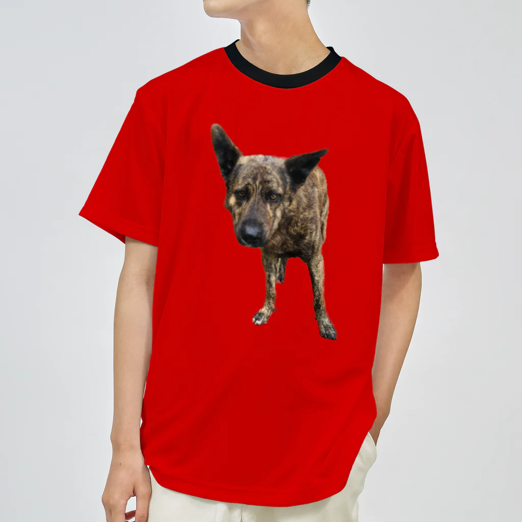 EYE CANDYの愛犬注意 Dry T-Shirt