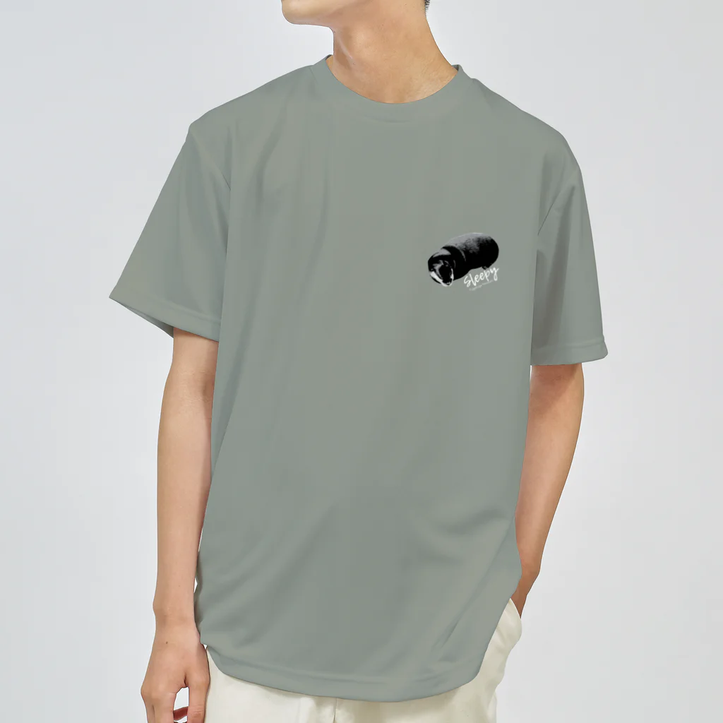 カワウソとフルーツのすやすやカワウソ Dry T-Shirt