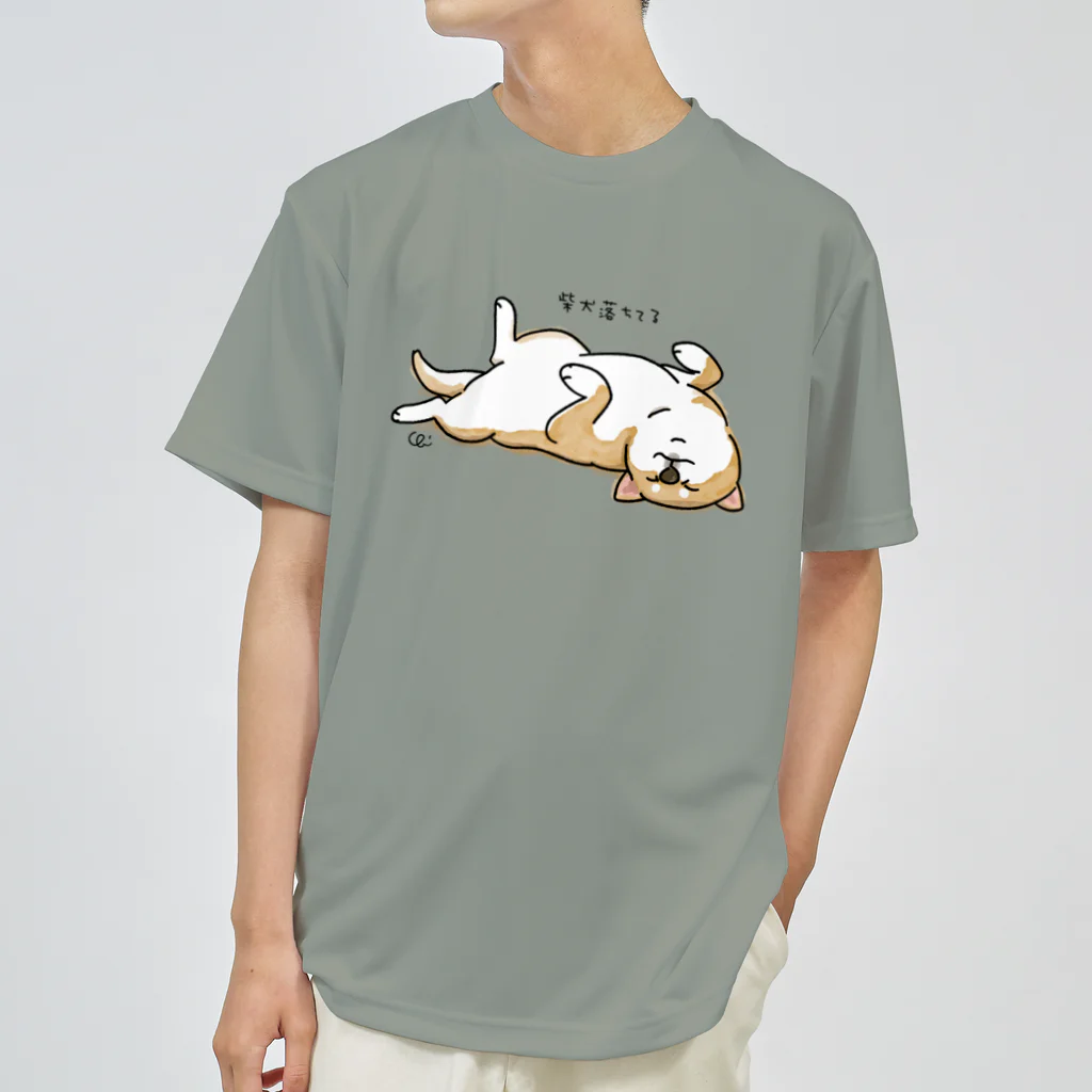 chizuruの柴犬落ちてる（茶柴） ドライTシャツ