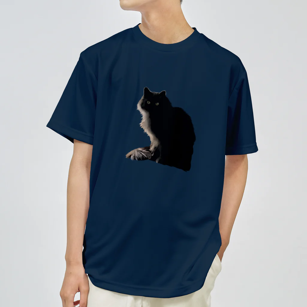 小鳥と映画館の左から光が当たっている黒猫 Dry T-Shirt