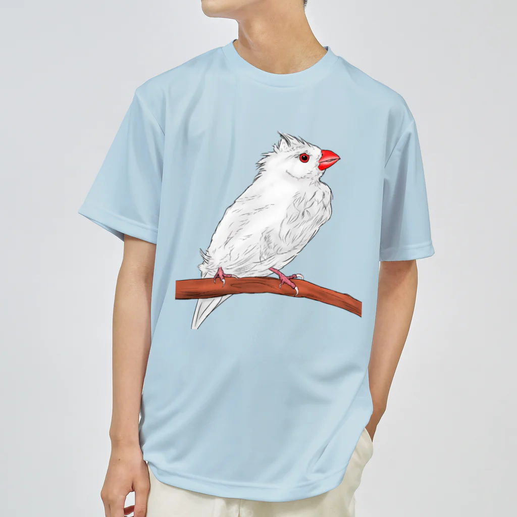 Lily bird（リリーバード）の水浴び文鳥 カラー ドライTシャツ