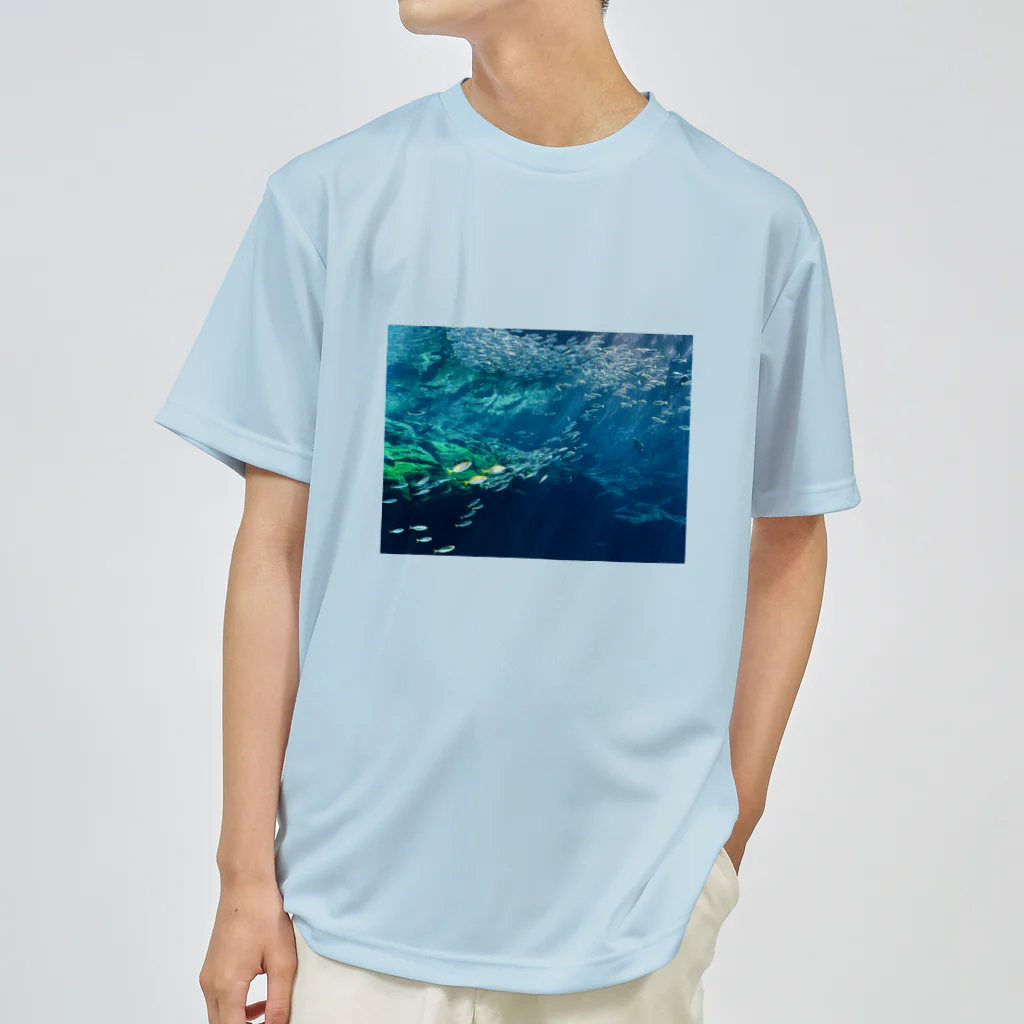 秋刀魚の眼の群れを成す ドライTシャツ