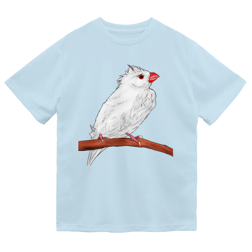 Lily bird（リリーバード）の水浴び文鳥 カラー ドライTシャツ