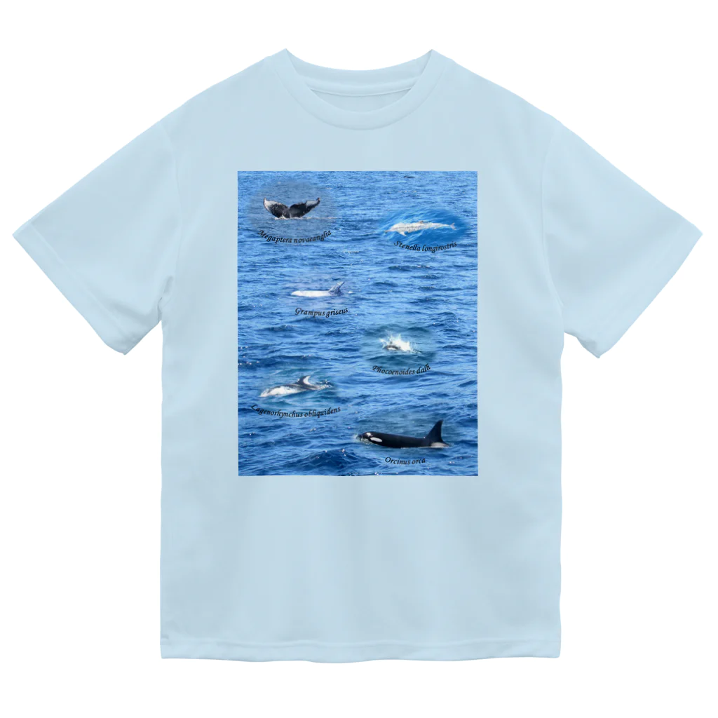 L_arctoaの船上から見た鯨類(1) Dry T-Shirt