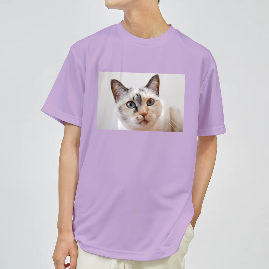 モコネコSHOPのMIXねこ ドライTシャツ