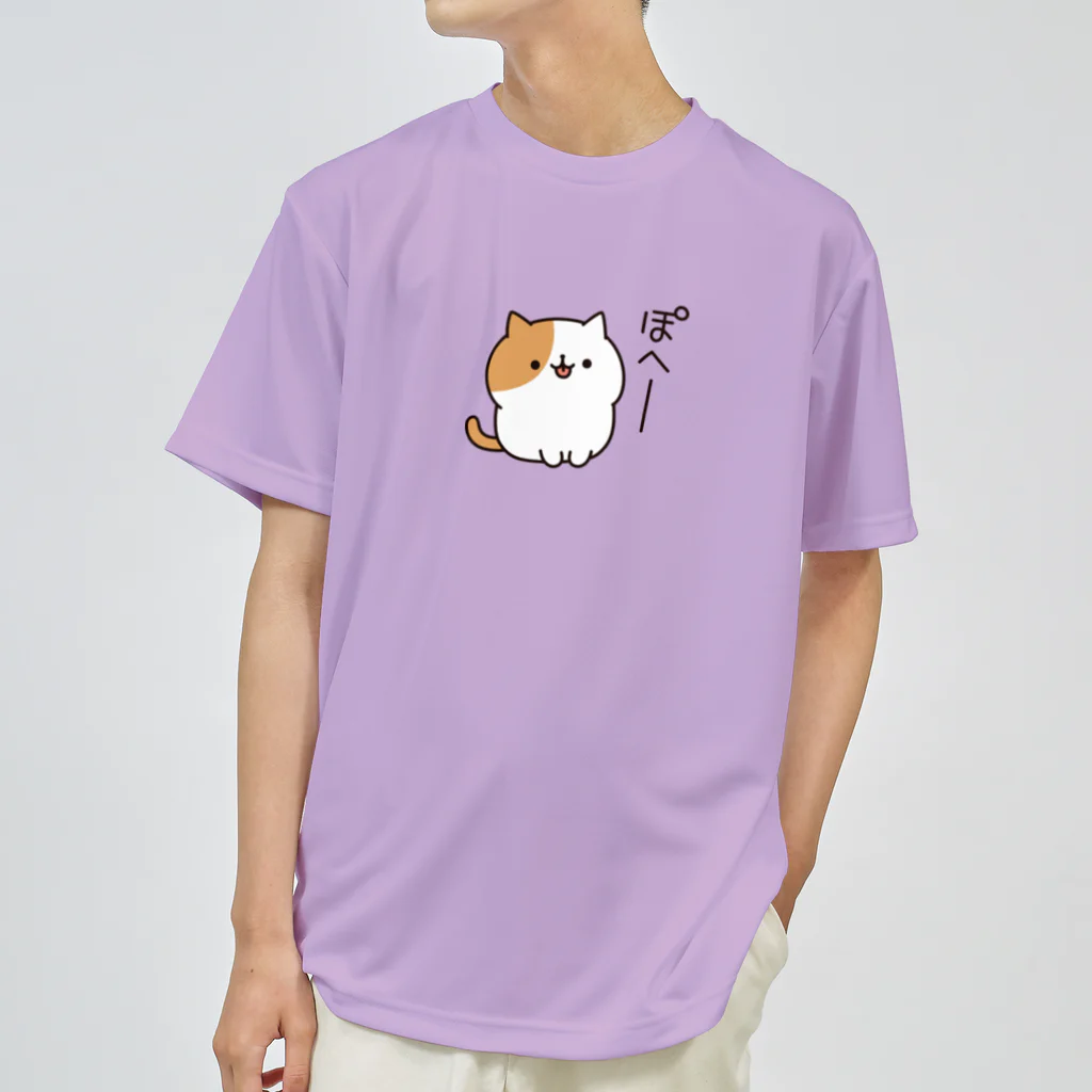 DECORの毎日ぶちにゃんこ　ぽへーver. ドライTシャツ