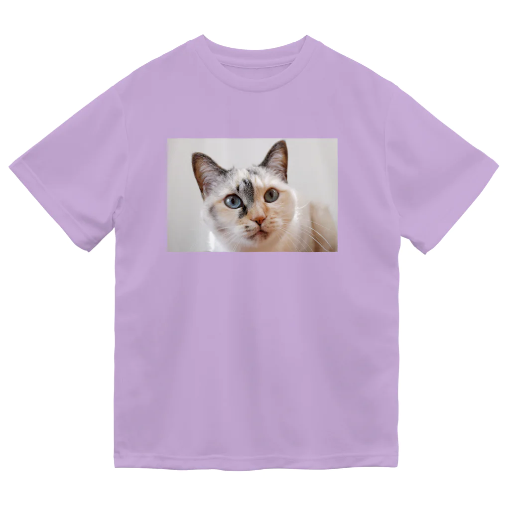 モコネコSHOPのMIXねこ ドライTシャツ