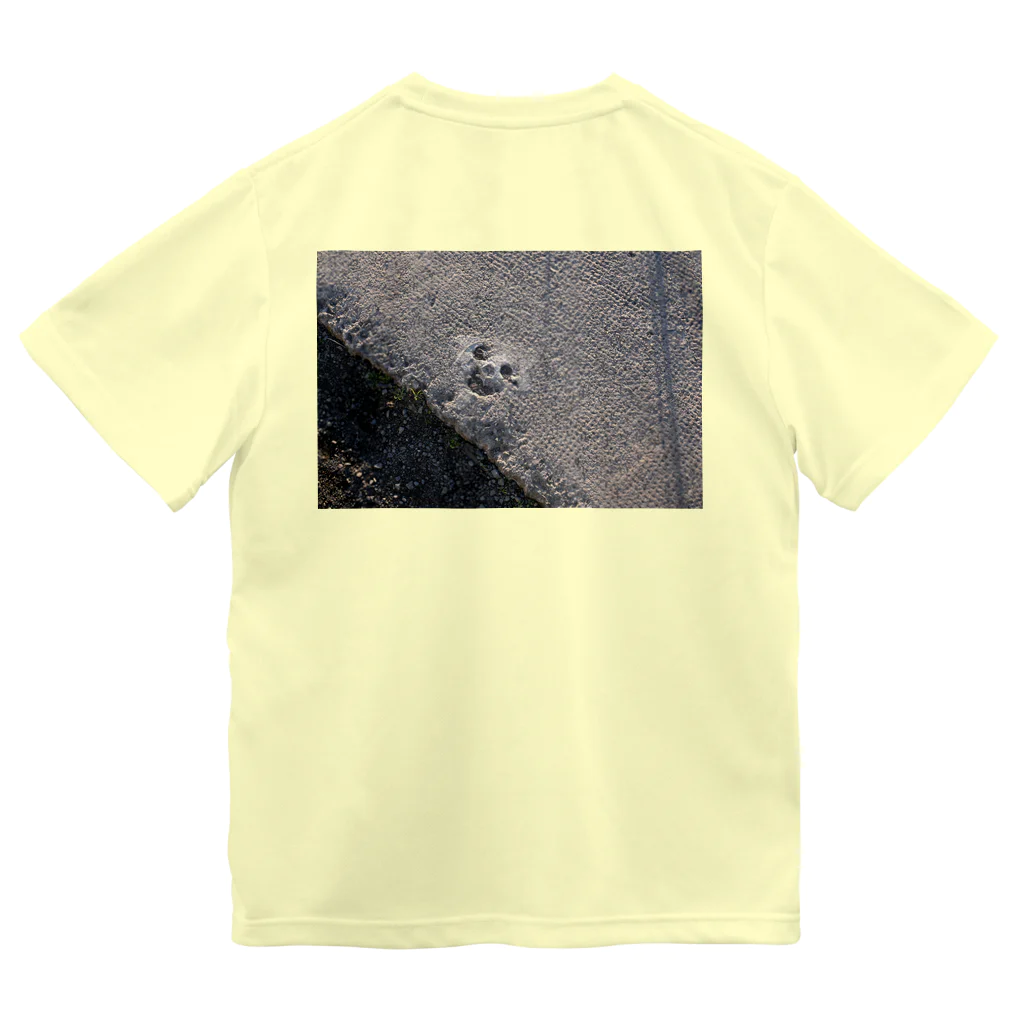 Rami's SouvenirsのCan you see a smile? Dry T-Shirt