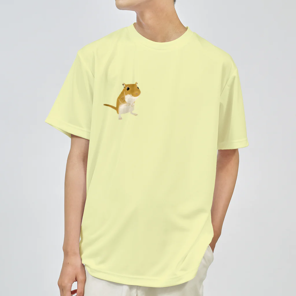 ねずりすSHOPのポーズでち Dry T-Shirt