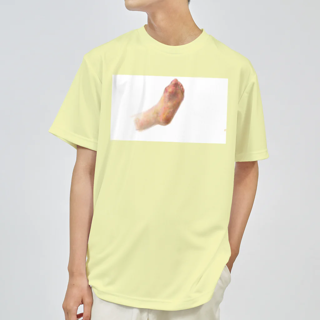グラミーの足の裏 Dry T-Shirt