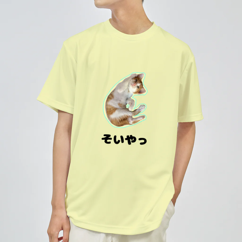 くろごまぱふぇのわんぱく仔猫めるる(リアル) Dry T-Shirt