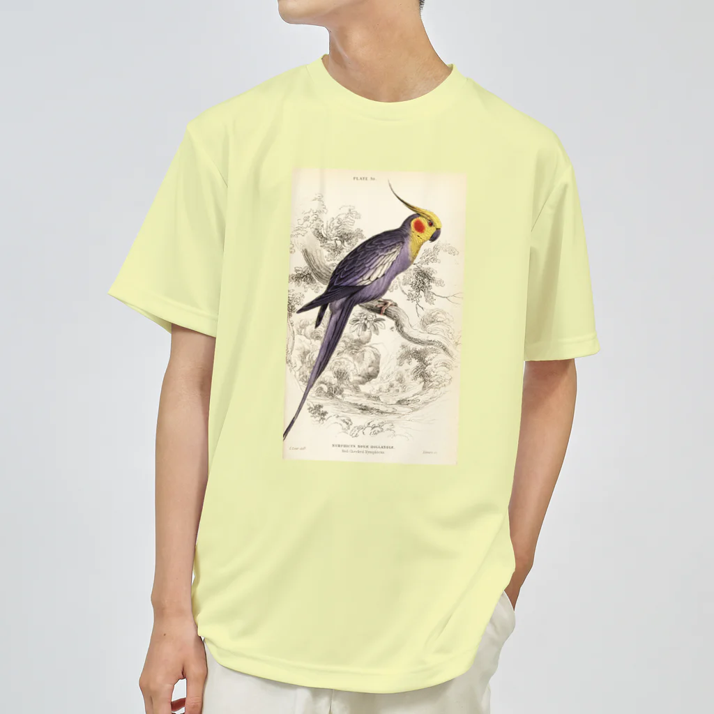 J. Jeffery Print Galleryの博物画　オカメインコ ドライTシャツ