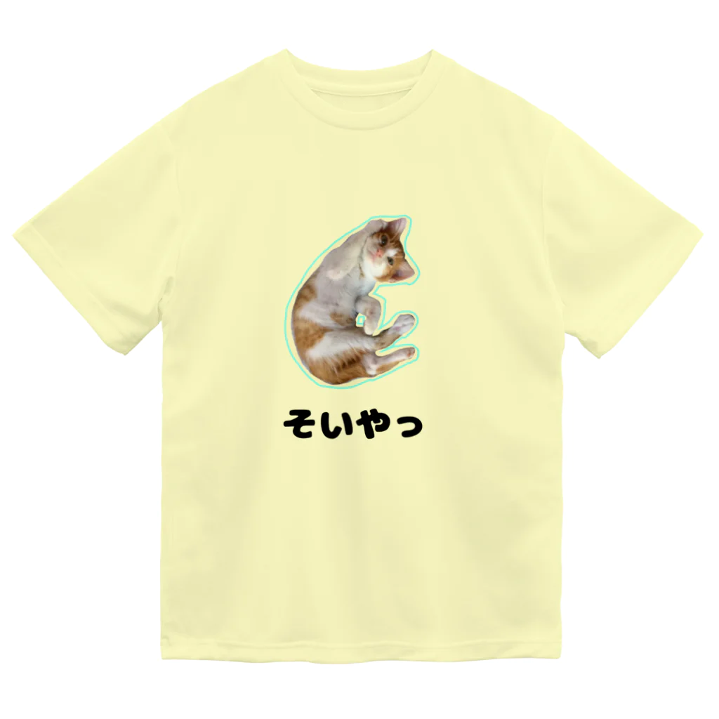 くろごまぱふぇのわんぱく仔猫めるる(リアル) Dry T-Shirt