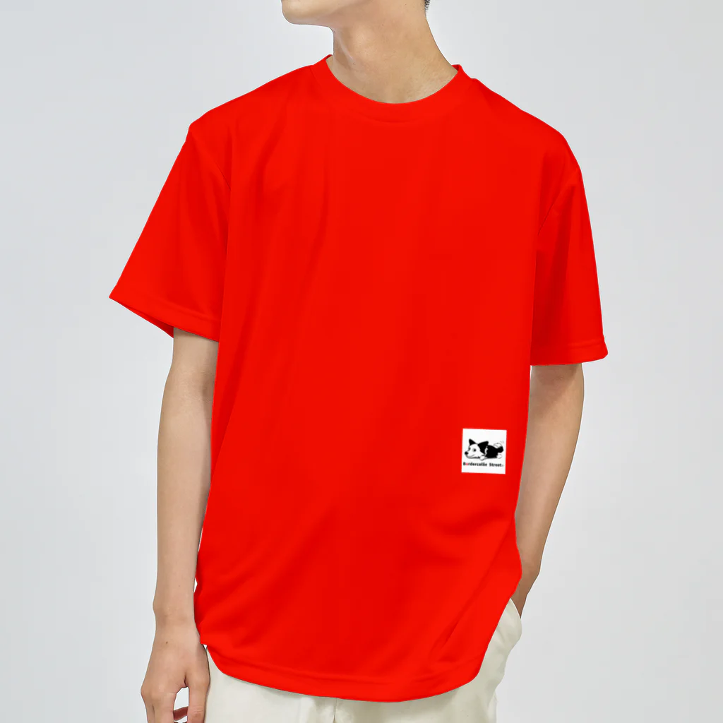 Bordercollie StreetのBCS-Abw3 Dry T-Shirt