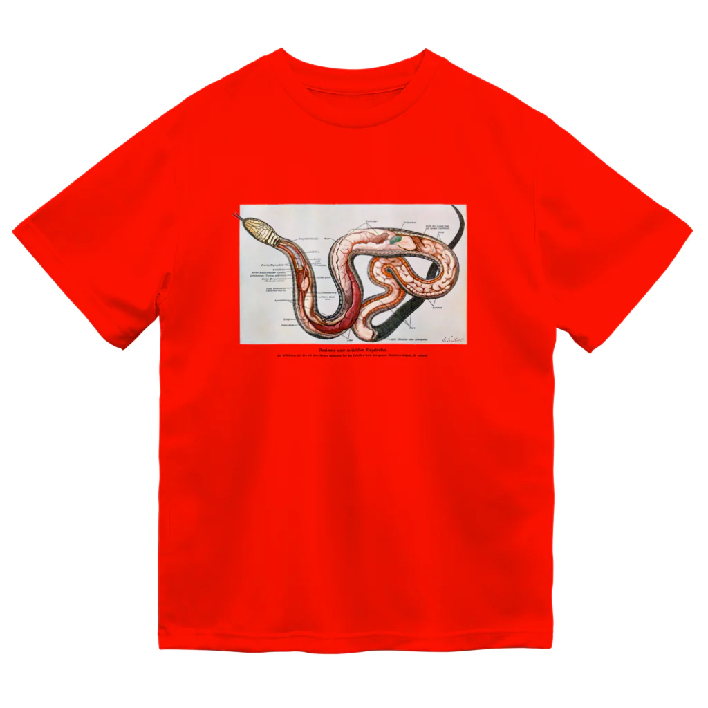 Rubbishのヘビの解剖 ドライTシャツ