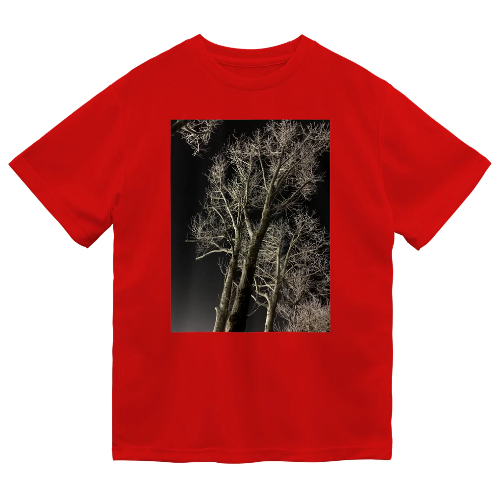 空屋　sorayakusakaの202001121944000　夜の樹木 Dry T-Shirt