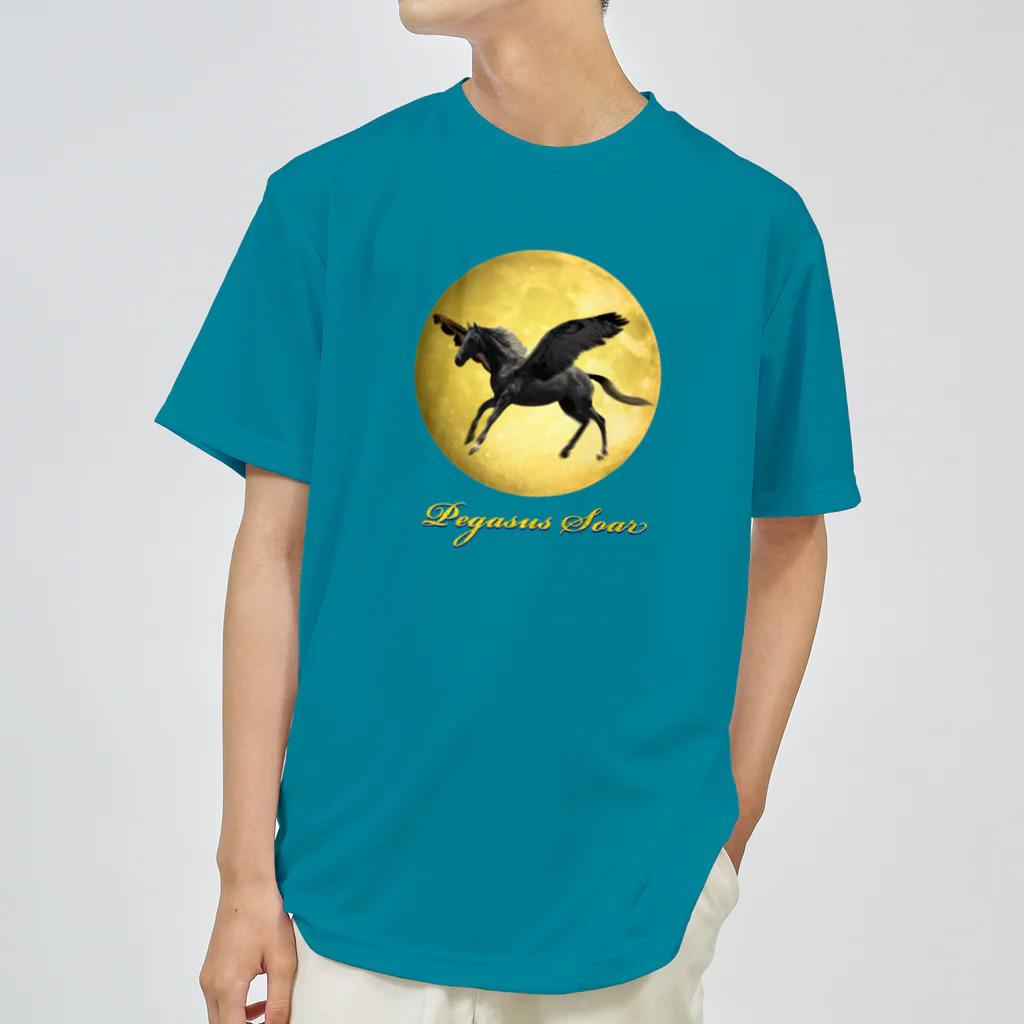 shikisai02sのPegasus soar in the moonlight ドライTシャツ