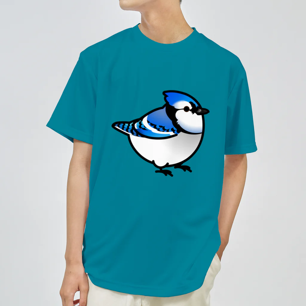 Cody the LovebirdのChubby Bird アオカケス　ブルージェイ Dry T-Shirt